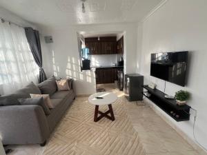 TV a/nebo společenská místnost v ubytování Royal apartments Eldoret