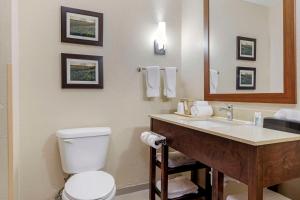 Koupelna v ubytování Comfort Suites