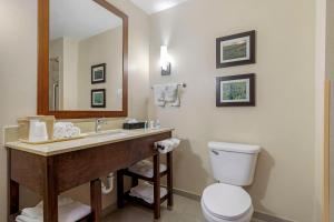 Koupelna v ubytování Comfort Suites