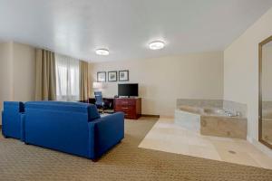 TV a/nebo společenská místnost v ubytování Comfort Suites