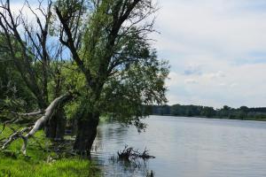 Příroda nedaleko apartmánu