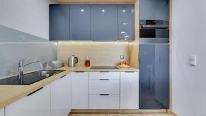 Η κουζίνα ή μικρή κουζίνα στο Elegant and Comfortable Apartments in Gdansk Dom & House