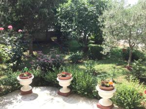 Zahrada ubytování Apartment Medulin 37