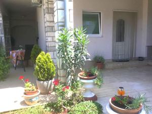 Zahrada ubytování Apartment Medulin 37