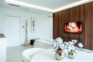 TV a/nebo společenská místnost v ubytování Ram7 Lux Charmant Apartment Gallarate