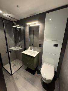 ein Badezimmer mit Toilette, Waschbecken und Dusche in der Unterkunft New! Apartment Fjellandsbyen Hemsedal Ski&bike in Kyrkjebøen