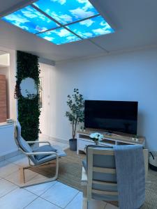 a living room with a tv and a blue ceiling at Studio le Végétal in Chalons en Champagne