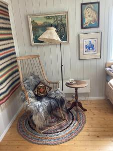 a dog sitting in a rocking chair in a room at Hagaåsen by Norgesbooking - cabin with amazing view in Omholt +14 photos