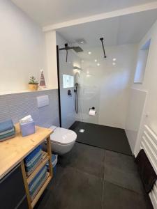 un baño con inodoro y ducha en Family Friendly Mountain House, en Eisenerz