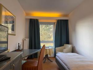TV a/nebo společenská místnost v ubytování Hotel Das Waldhaus in Maikammer