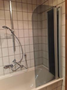 a shower with a glass door in a bathroom at Ruhige Einliegerwohnung mit Terasse in Altenkunstadt +20 photos