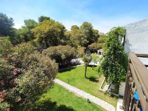 Zahrada ubytování Amalia Studios Skiathos