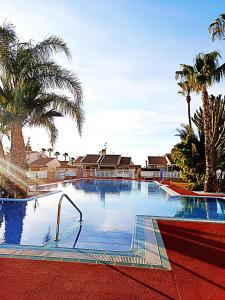 a large swimming pool with palm trees and houses at Bungalow near the beach in Torrevieja, Aguas Nuevas in Torrevieja