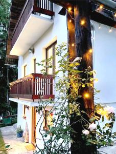 Billede fra billedgalleriet på Sunny Hill kuća za odmor na Zlataru i Vukovina