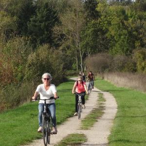 un grupo de personas montando bicicletas por un sendero en Gîte Saint Benoît sur Loire en Val de Sully, en Saint-Benoît-sur-Loire