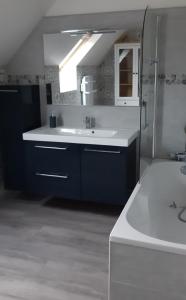 un baño con lavabo y ducha en Gîte Saint Benoît sur Loire en Val de Sully, en Saint-Benoît-sur-Loire