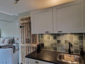 Kuchyň nebo kuchyňský kout v ubytování BenB Op de Vleet vrijstaande accommodatie + 27 fotografií