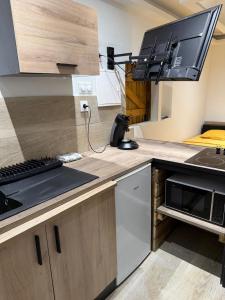 ル・ゴジエにあるLove Room Ô Fruit de la passionのキッチン(コンロ、電子レンジ付)