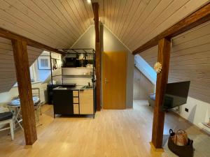 an attic kitchen with a large wooden ceiling at Modernes 1-Raum-Apartment in Dresden