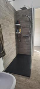 a bathroom with a shower with a sink and a toilet at Meina, 2 camere, 2 bagni, giardinetto in Meina