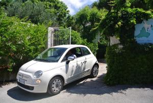 Foto sihtkohas Ischia asuva majutusasutuse Paradiso Terme Resort & SPA con 5 piscine termali galeriist