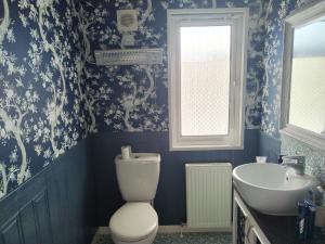 a blue bathroom with a toilet and a sink at Large double sized lodge ideal for furry friends to stay in Great Billing +10 photos