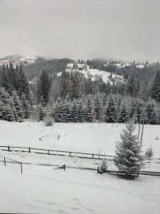 cottages GRUN v zimě
