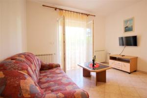 TV a/nebo společenská místnost v ubytování Apartments Lucijana