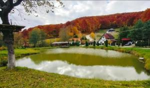 a pond in the middle of a field at Pensiunea Cerbul - Valea Dobârlăului in Valea Dobîrlăului