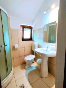 a bathroom with a sink and a toilet and a mirror at Pensiunea Cerbul - Valea Dobârlăului in Valea Dobîrlăului