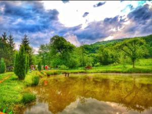 a pond in a park with trees and a mountain at Pensiunea Cerbul - Valea Dobârlăului in Valea Dobîrlăului +16 photos