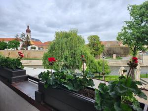 A garden outside Hotel ICON