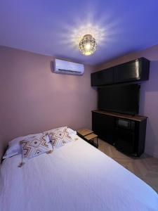 Giường trong phòng chung tại Appartement Balnéothérapie