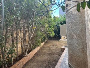a row of trees next to a stone wall at برج العرب الجديدة الحي الثاني in Burj al ‘Arab al Jadīdah
