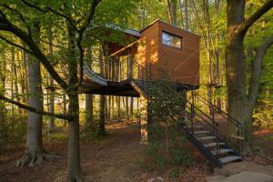 a tree house with a staircase in the woods at Loop - K1 Treehouses in Odenthal