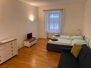 TV a/nebo společenská místnost v ubytování Apartments Karlin