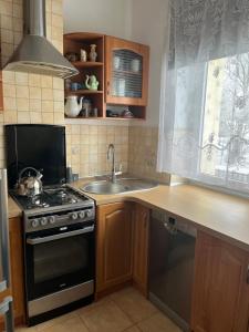 Kuchyň nebo kuchyňský kout v ubytování Apartament przy Parku Czartoryskich II - Faktury VAT - parking + 5 fotografií