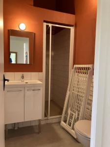 a bathroom with a toilet and a sink and a mirror at Maison une chambre Domaine Du Lac avec bain nordique in Montendre