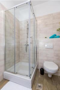 a shower stall in a bathroom with a toilet at Apartments & Rooms Jure in Viniština