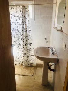 ein Badezimmer mit Waschbecken und Duschvorhang in der Unterkunft Casita San Martín in San Martín de los Andes