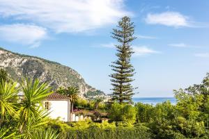a tall tree in front of a building and the ocean at VILLA LUNA VI4339 By Riviera Holiday Homes in Èze