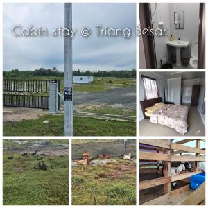 Φωτογραφία από το άλμπουμ του Cabin stay Triang Besar σε Kampong Teriang Besar