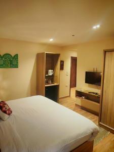 Kush Hotel, Grand Museum & Pyramids View في القاهرة: غرفة نوم بها سرير كبير وتلفزيون