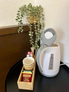 Fotografie z fotogalerie ubytování Hotel Baslertor v destinaci Luzern
