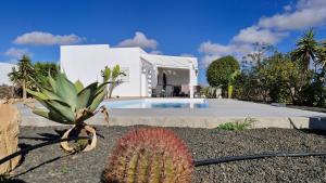 einen Kaktus vor einem Haus mit Pool in der Unterkunft Villa Estrella de Blanca in La Oliva + 70 Fotos