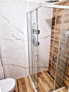a shower with a glass door in a bathroom at Apartment Modern Nest in Zenica