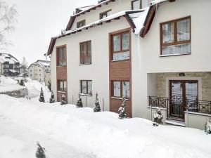 コパオニクにあるKopaonik Milmari P50の雪に覆われた家