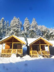 two wooden cabins in the snow with trees in the background at great himalayan hikes homestay shanghar in Shangarh