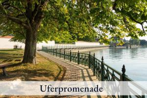 a tree and a fence next to a lake at Relax-Apartment-One FN in Friedrichshafen +17 photos