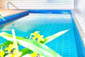 Bazén v ubytování RelaxApartments BLACK FOREST NATURE mit beheiztem Indoor-Pool und Sauna - Sonnenbalkon mit Blick ins Grüne, schnelles Internet, Nähe Triberger Wasserfälle, für bis zu 2 Personen nebo v jeho okolí